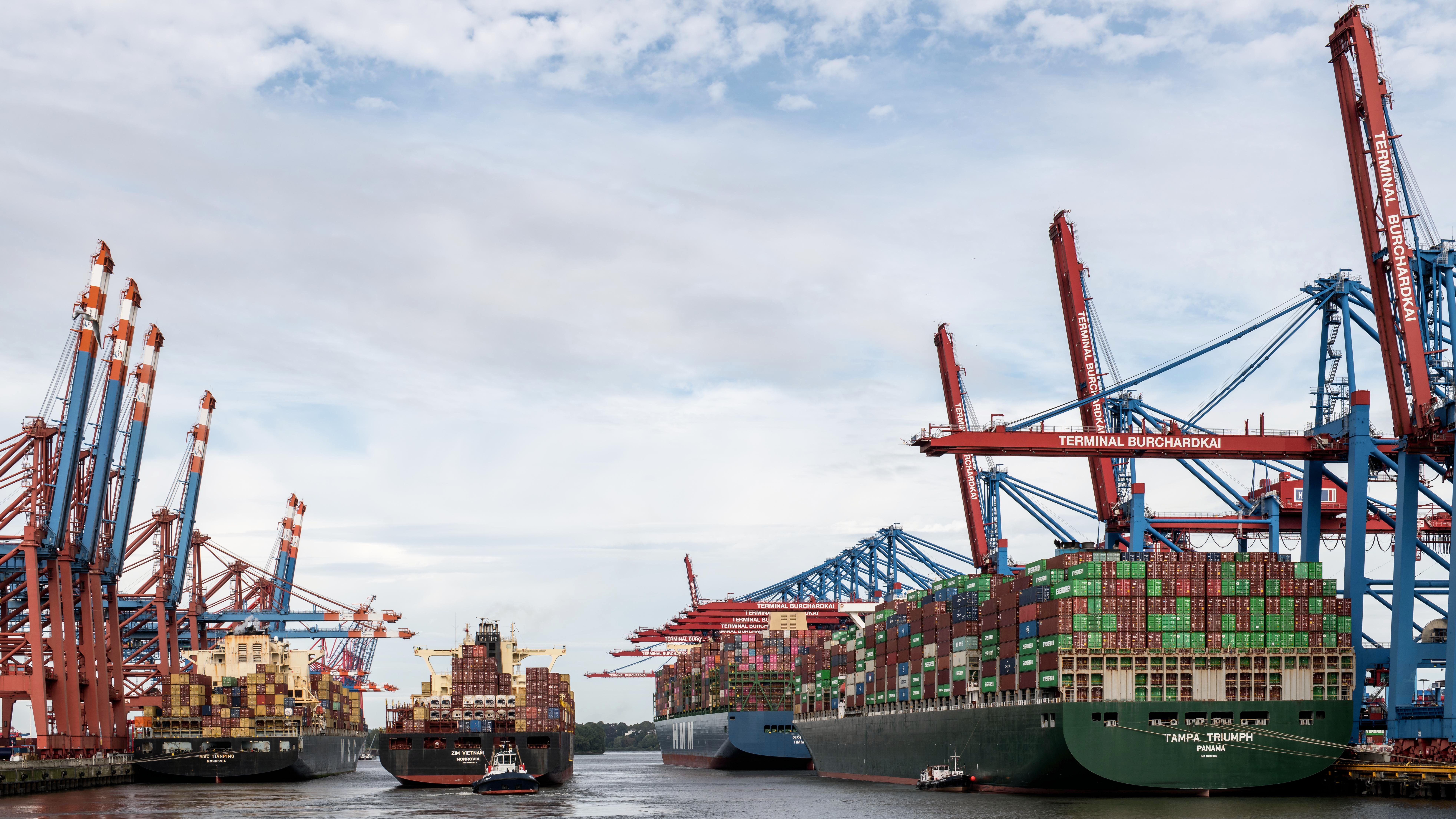 Customs Clearance Services in Newcastle